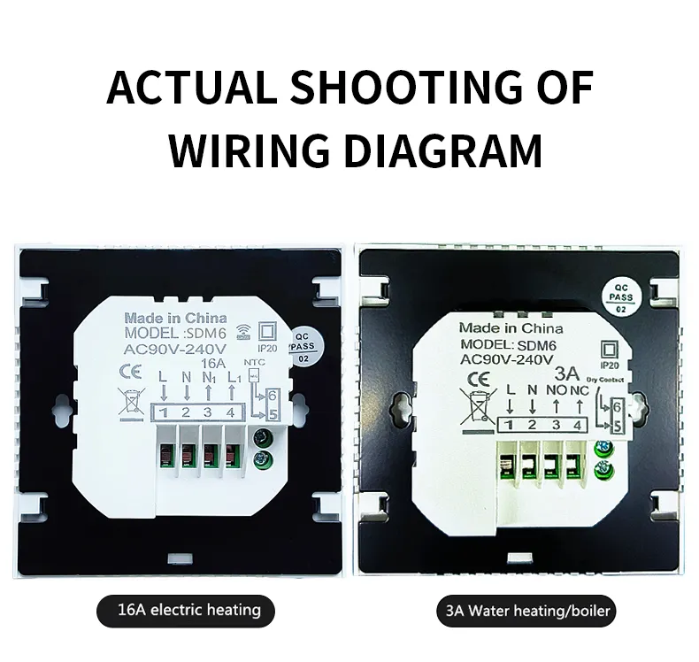 SDM6 backplate marked MODEL:SDM6 with L, N, N1, L1 terminals and the external probe connection