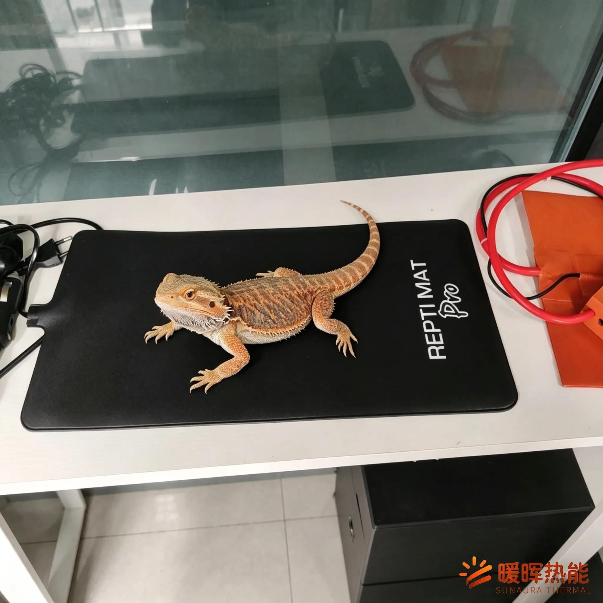 Mata grzewcza na sadzonki do kiełkowania roślin